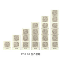 DSPPA(ʿ)ҕ aƷ:DSP09ϵ